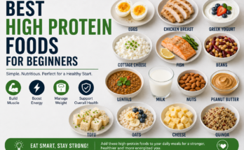 Best High Protein Foods for Beginners